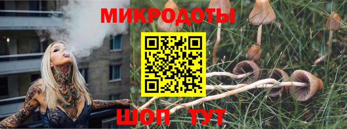 Вичуга  Псилоцибиновые грибы Psilocybe  Псилоцибиновые грибы MAGIC MUSHROOMS  Вход с VPN 